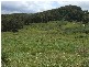 Moss Vale NSW 2577