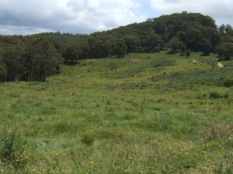 Moss Vale NSW 2577