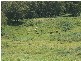 Moss Vale NSW 2577