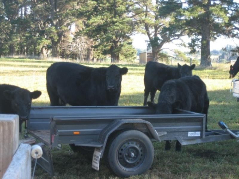 Lot 1 Bundanoon Road, Exeter NSW 2579