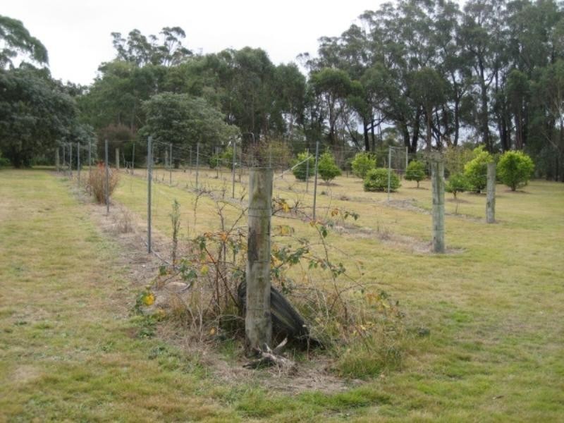 2424 Canyonleigh Road, Canyonleigh NSW 2577