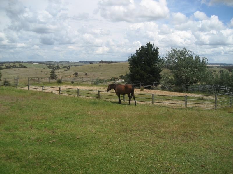 “YERALLA” 237 Mt Baw Baw Road, Goulburn NSW 2580