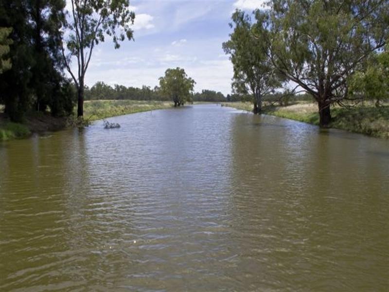 0 Lachlan Valley Way, Lake Cargelligo NSW 2672