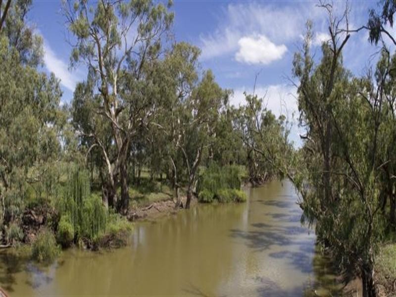 0 Lachlan Valley Way, Lake Cargelligo NSW 2672