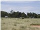 0 Lachlan Valley Way, Lake Cargelligo NSW 2672