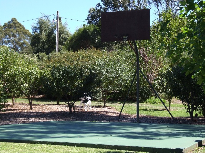 3 Centennial Road, Bowral NSW 2576