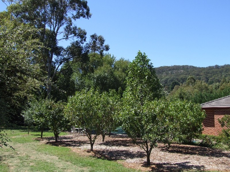 3 Centennial Road, Bowral NSW 2576