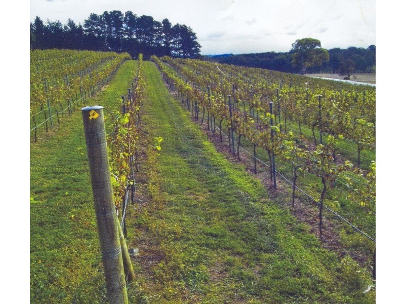 48 Joadja Road, Berrima NSW 2577