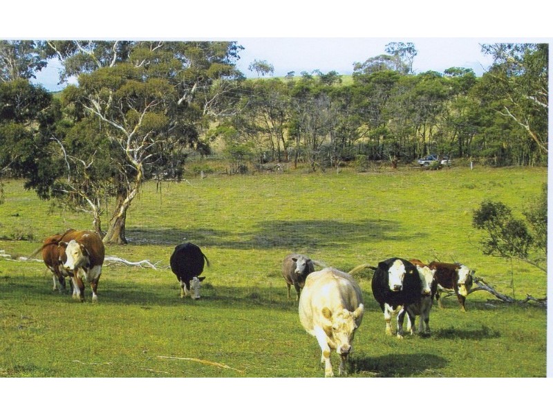 48 Joadja Road, Berrima NSW 2577