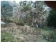 63 Tallygang Mountain Road, Wombeyan Caves NSW 2580