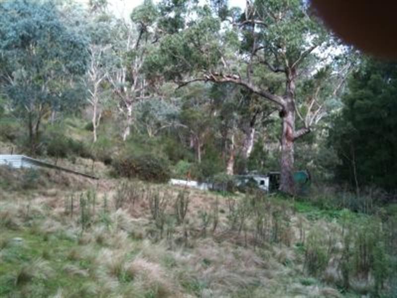 63 Tallygang Mountain Road, Wombeyan Caves NSW 2580