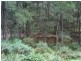 63 Tallygang Mountain Road, Wombeyan Caves NSW 2580
