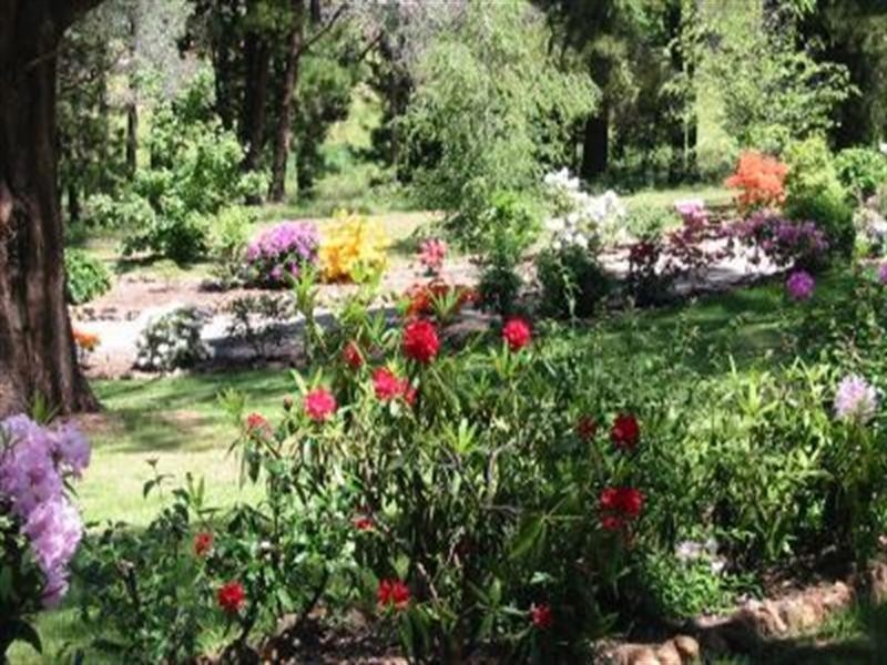 192 Middle Spur Road, Tumbarumba NSW 2653