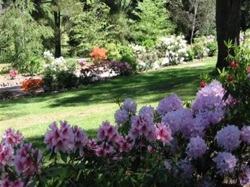 192 Middle Spur Road, Tumbarumba NSW 2653