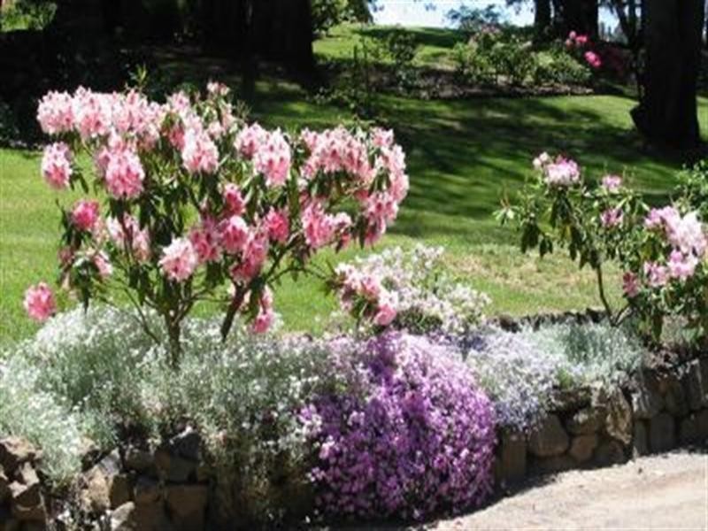 192 Middle Spur Road, Tumbarumba NSW 2653