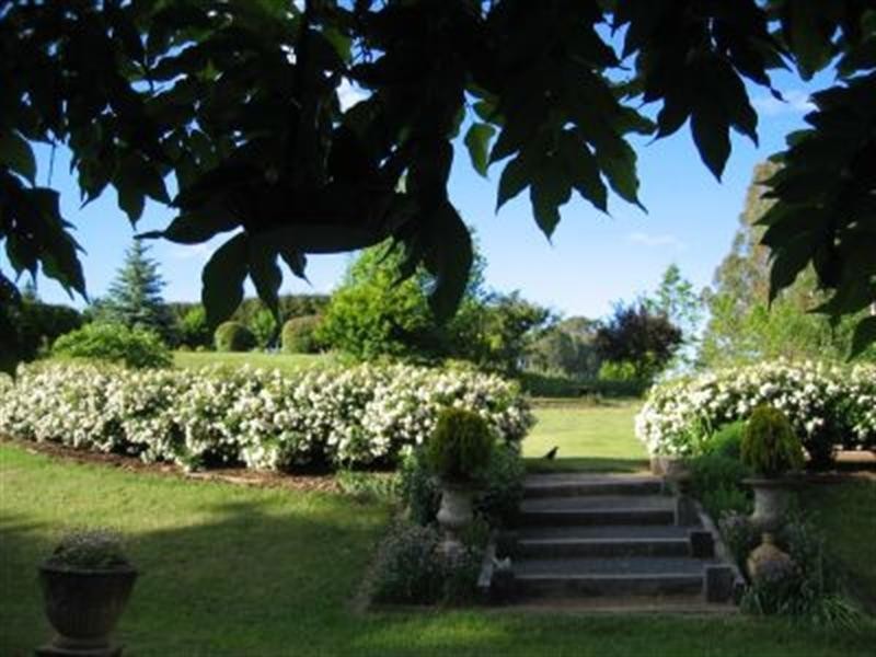 192 Middle Spur Road, Tumbarumba NSW 2653