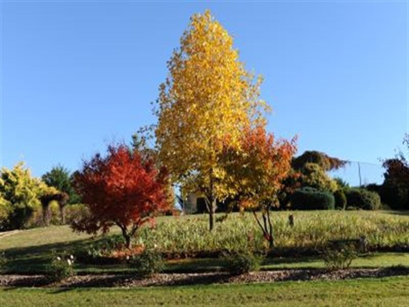 192 Middle Spur Road, Tumbarumba NSW 2653