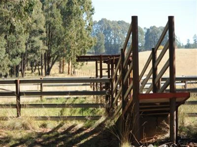 192 Middle Spur Road, Tumbarumba NSW 2653