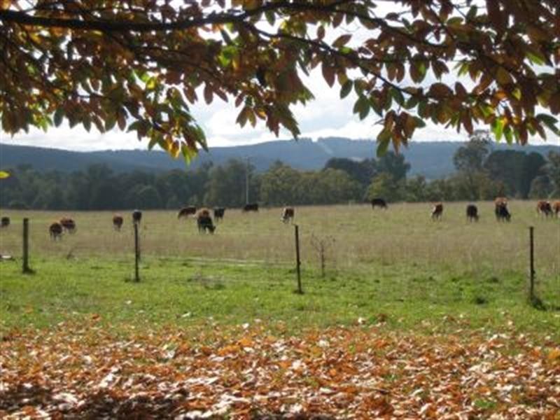 192 Middle Spur Road, Tumbarumba NSW 2653