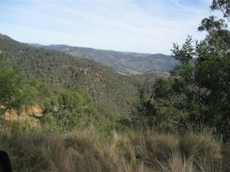 0 “Horse Creek”, Wombeyan Caves NSW 2580