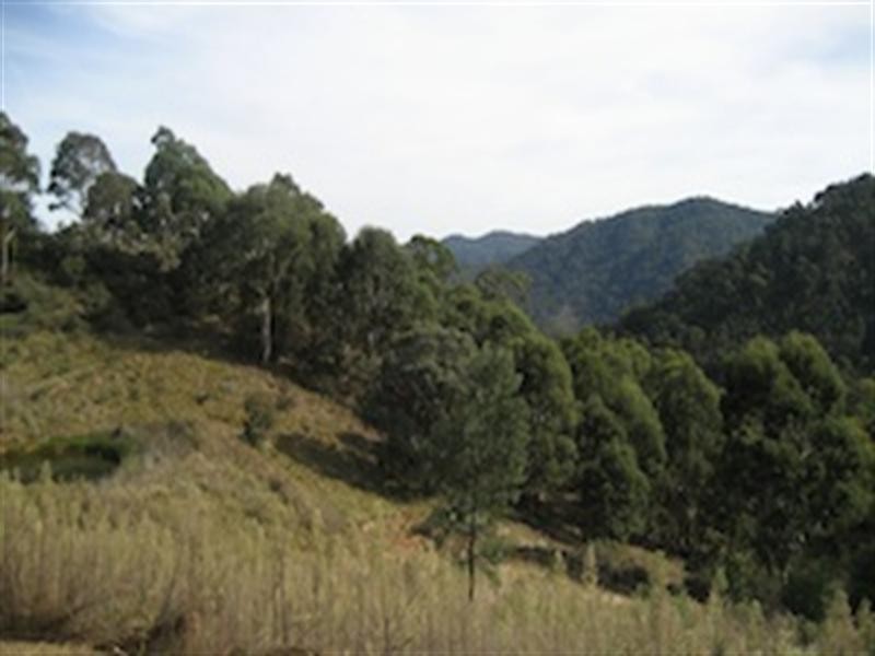 0 “Horse Creek”, Wombeyan Caves NSW 2580