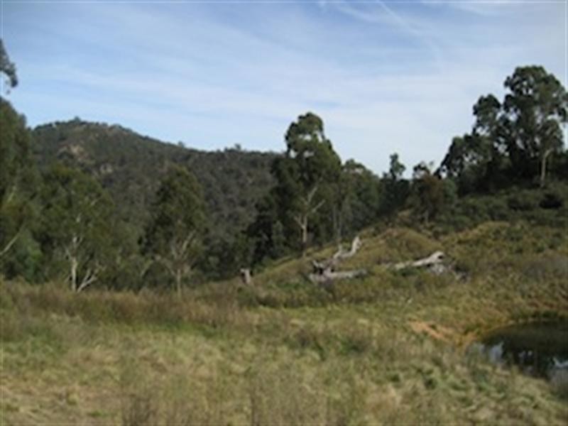 0 “Horse Creek”, Wombeyan Caves NSW 2580