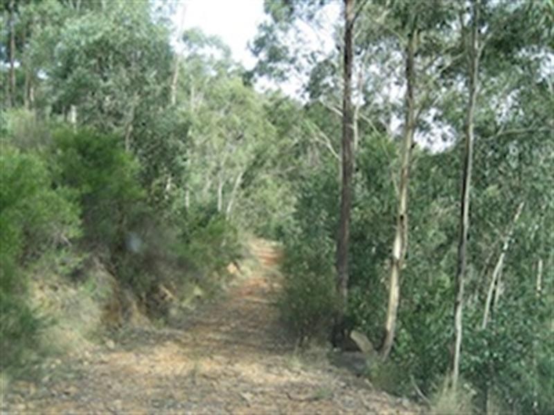 0 “Horse Creek”, Wombeyan Caves NSW 2580