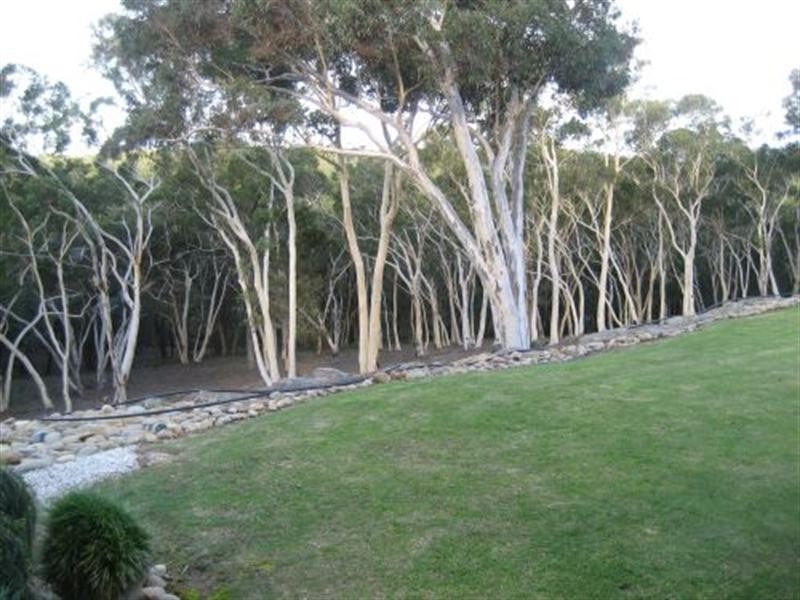 24 Casuarina Avenue, Tallong NSW 2579