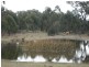949 Cullulla Road, Tarago NSW 2580
