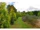 Burradoo NSW 2576