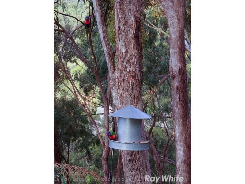 14 Lind Avenue, Belair SA 5052