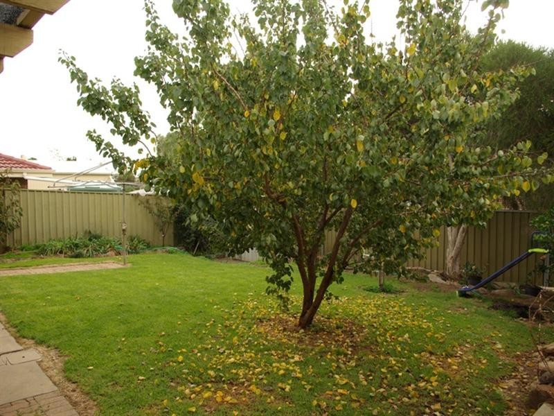 11 Simon Court, Aberfoyle Park SA 5159