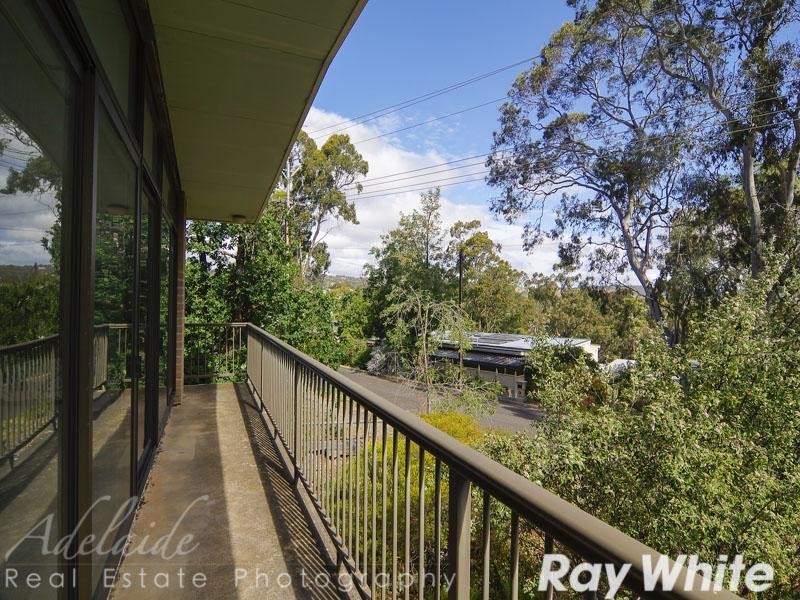 20 Alison Avenue, Blackwood SA 5051