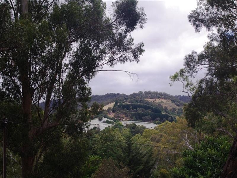 14 Winns Road, Coromandel Valley SA 5051