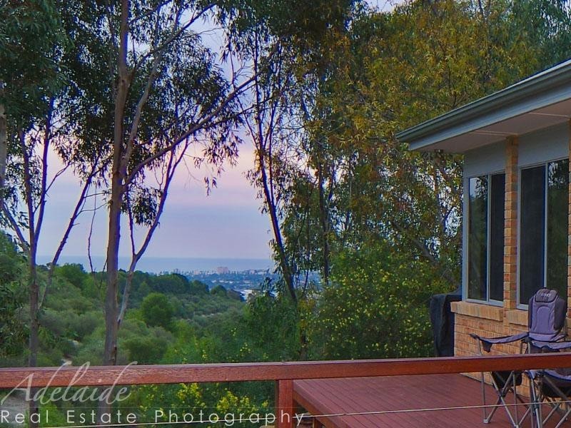 16 Salvador Street, Flagstaff Hill SA 5159