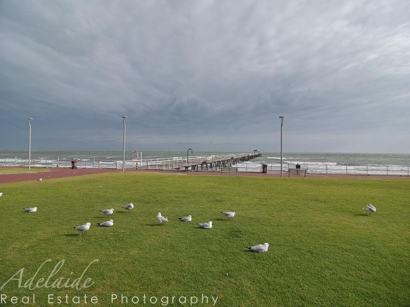 116 Seaview Road, Henley Beach South SA 5022