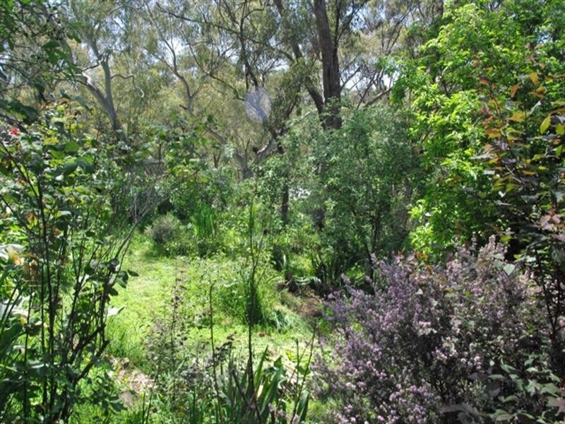 37 Penno Parade North, Belair SA 5052