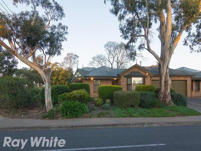 19 Gulfview Road, Blackwood SA 5051