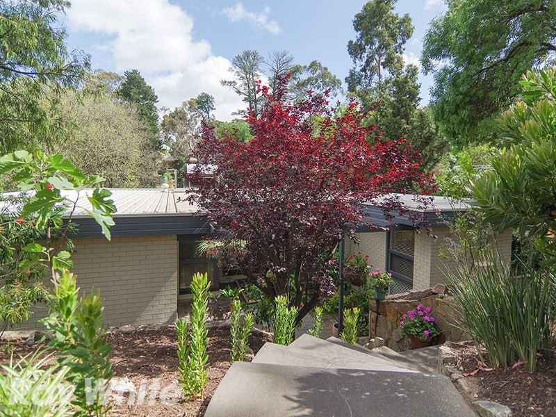 11 Douglas Street, Eden Hills SA 5050