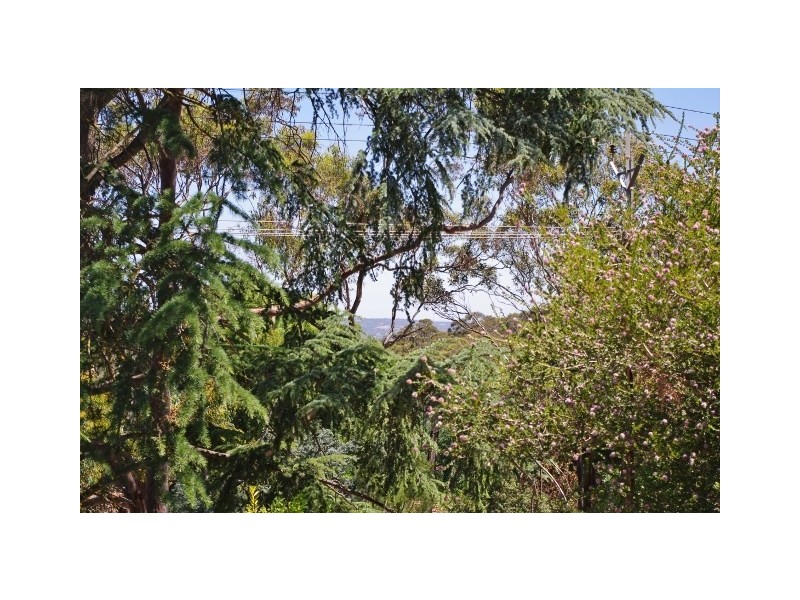 26 Main Road, Belair SA 5052