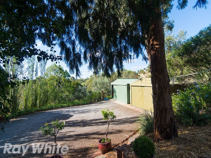 64 Turners Avenue, Hawthorndene SA 5051