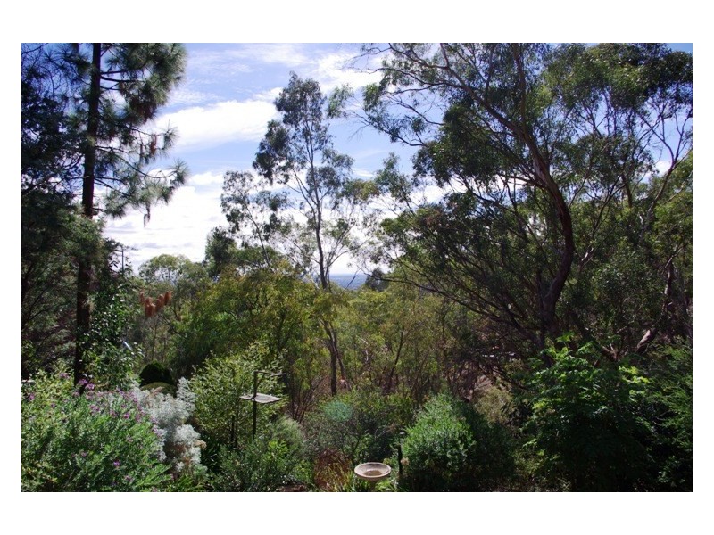 29 Old Belair Road, Belair SA 5052