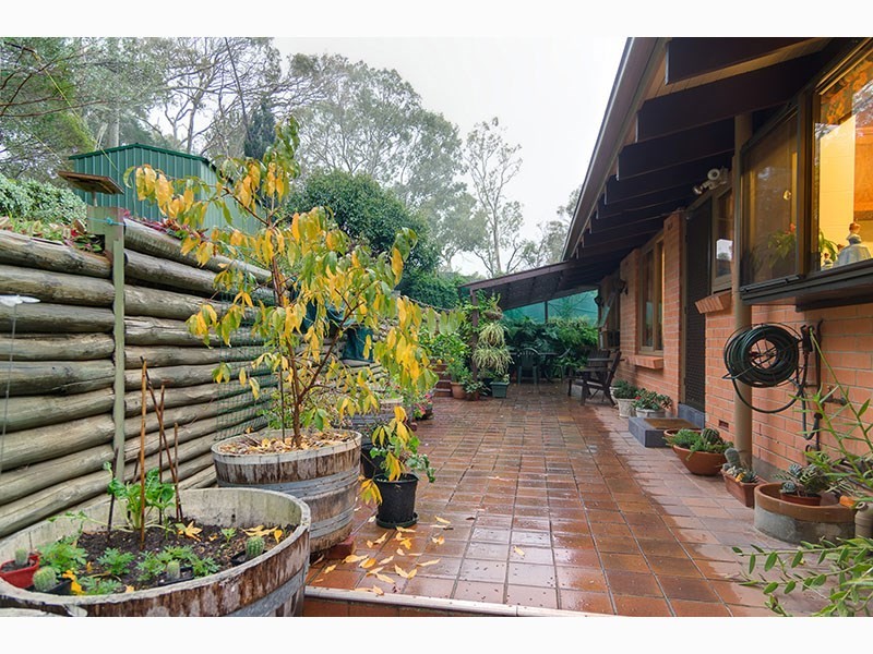 12 Rustic Avenue, Coromandel Valley SA 5051