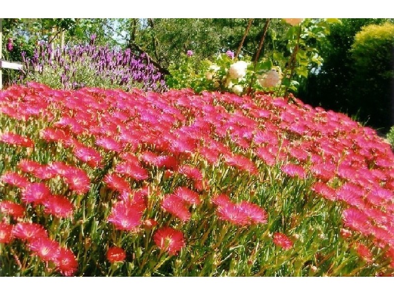 Coromandel East SA 5157