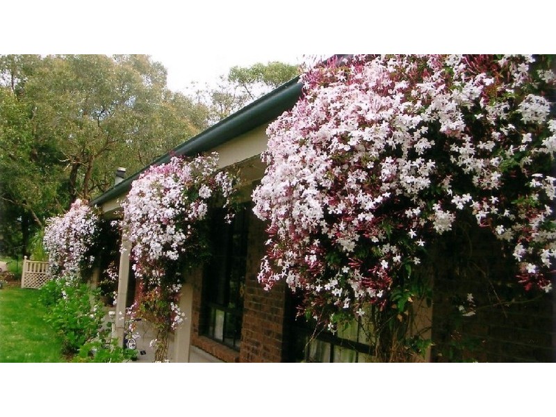 Coromandel East SA 5157