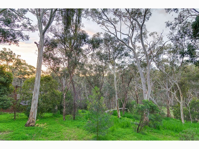 115 Sheoak Road, Belair SA 5052
