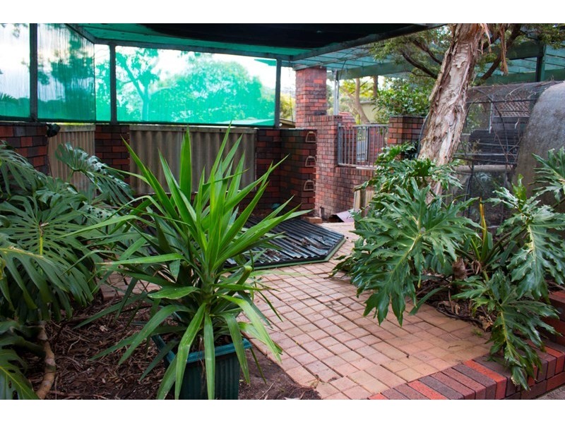 12 Western Avenue, Blackwood SA 5051