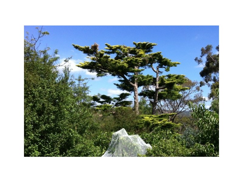 1/115 Main Road, Glenalta SA 5052