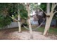 56 Auricchio Avenue, St Marys SA 5042