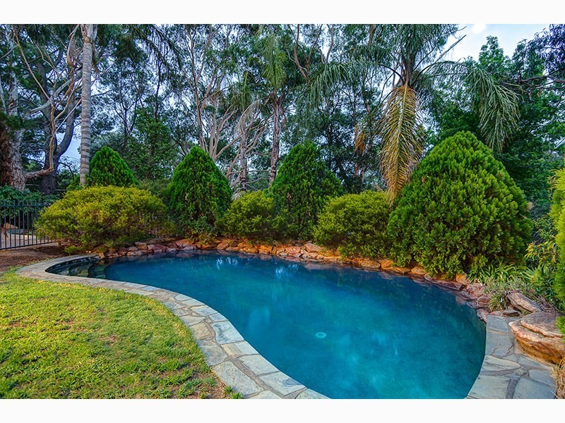 9 Goldsack Avenue, Coromandel Valley SA 5051